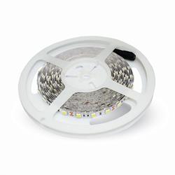 STRISCIA LED SMD5050 60 LED/mt 3000K IP20 10,8w/m