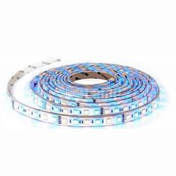 STRISCIA LED SMD5050 60 LED/mt RGB + 6000K IP20