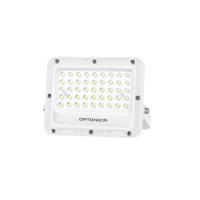 PROIETTORE LED SMD BIANCO 30W 100lm/W AC180-265V 90°IP65